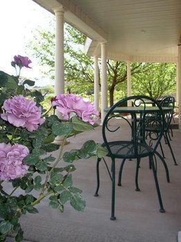 Novel House Inn At Zion Springdale Exterior foto